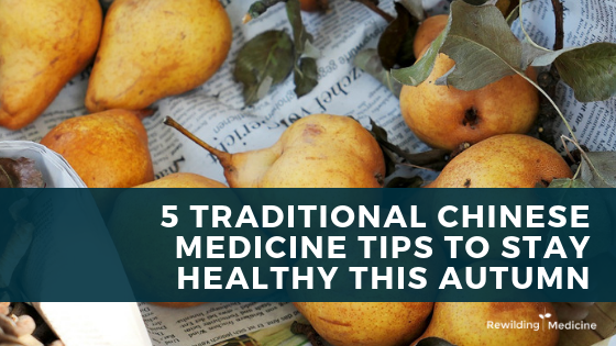 5 Traditional Chinese Medicine Tips to Stay Healthy This Autumn